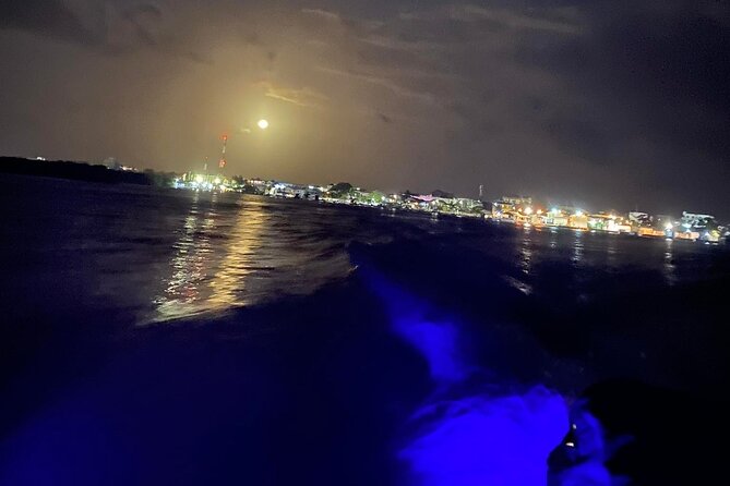 Booze Cruise-Evening - Accessibility and Participation