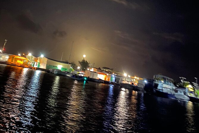 Booze Cruise-Evening - Onboard Experience and Activities