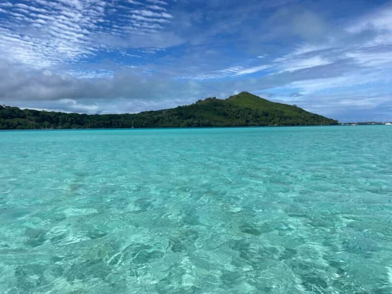 Bora Bora: 1/2 day lagoon safari - Shared tour - Snorkeling & Marine Life: A Closer Look