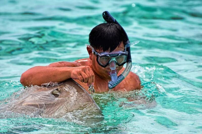 Bora Bora: 4x4 Safari with Snorkelling Combo Tour - Introduction