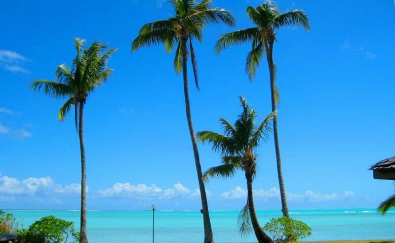 Bora Bora: 4x4 Safari with Snorkelling Combo Tour - Practical Details & Considerations