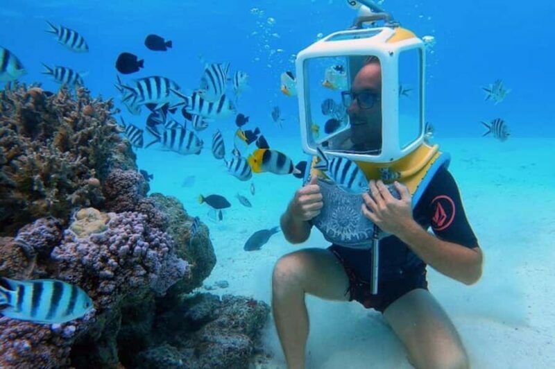 Bora Bora: Aquasafari Helmet Dive & Coral Garden Tour - Key Points