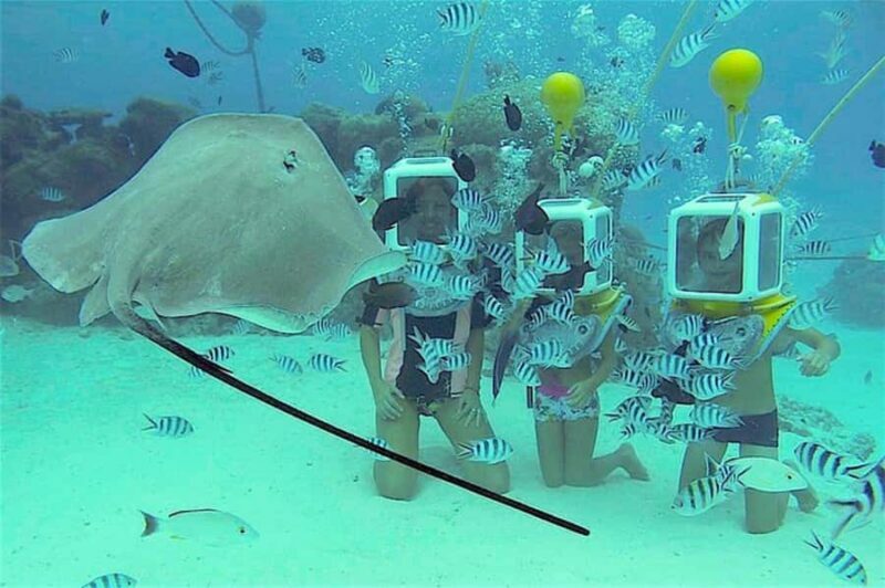 Bora Bora: Aquasafari Helmet Dive & Coral Garden Tour - What to Expect from the Tour