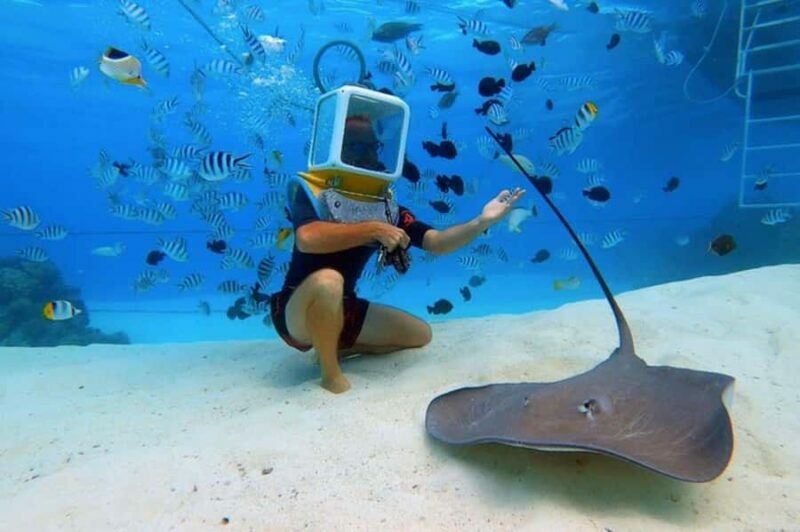 Bora Bora: Aquasafari Helmet Dive & Coral Garden Tour - The Marine Environment & Wildlife