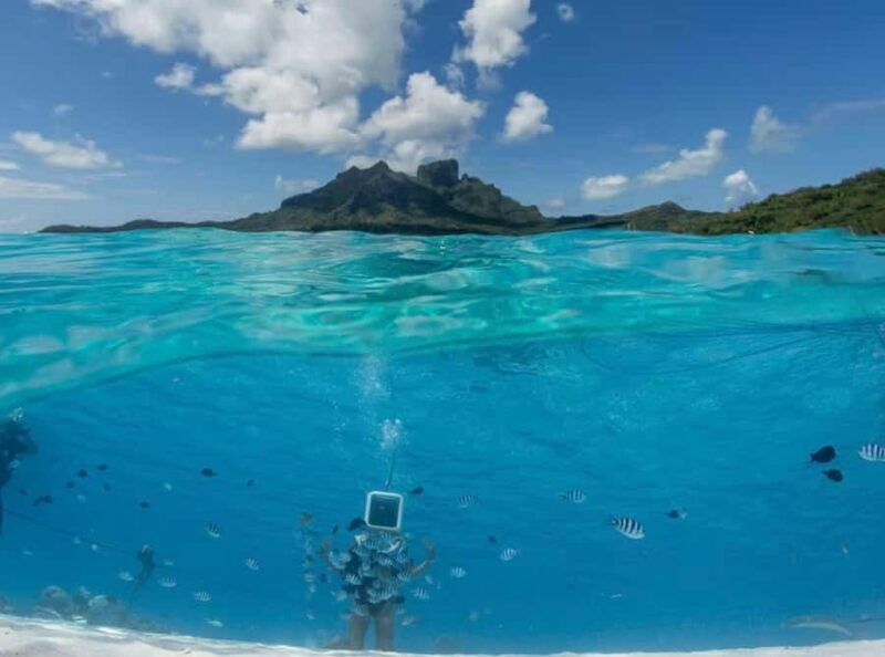 Bora Bora: Aquasafari Helmet Dive & Coral Garden Tour - Final Thoughts