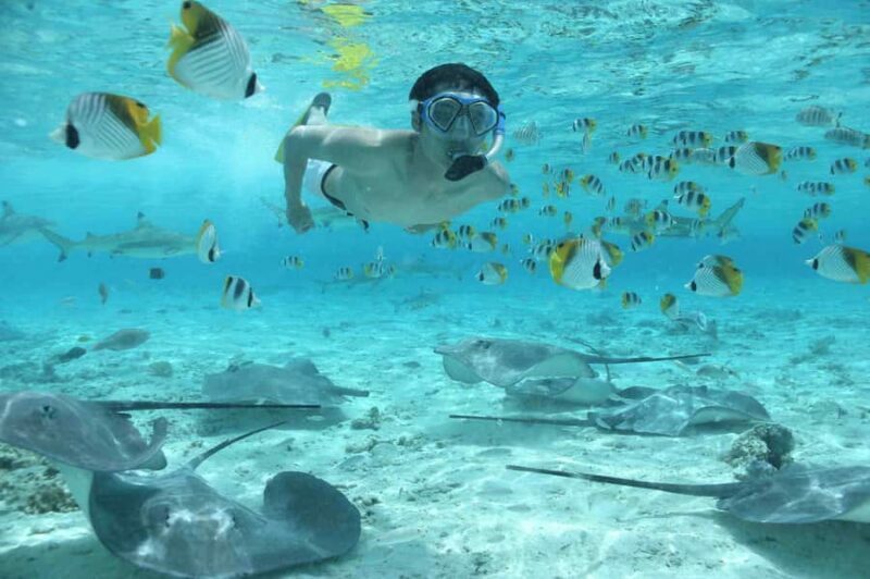 Bora Bora: Eco Shark and Snorkeling Safari - An Introduction to the Bora Bora Eco Shark and Snorkeling Safari