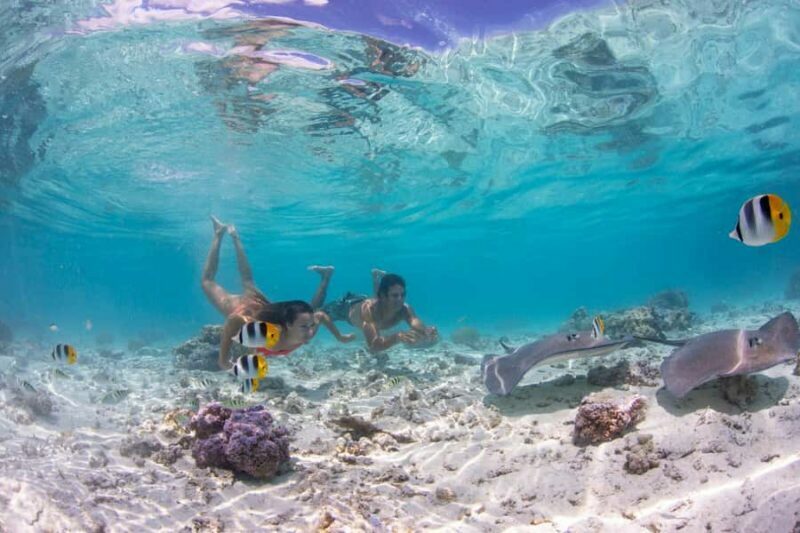 Bora Bora: Eco Shark and Snorkeling Safari - The Guides and Experience Quality