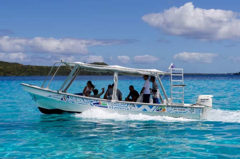Bora Bora: Eco Shark and Snorkeling Safari - Final Thoughts: Who Should Consider This Tour?