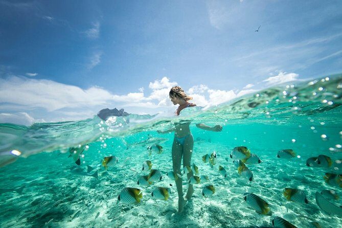 Bora Bora Eco Snorkel Cruise Including Snorkeling with Sharks and Stingrays - Price and Value