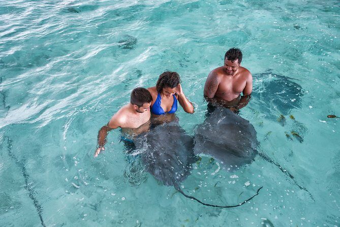Bora Bora Eco Snorkel Cruise Including Snorkeling with Sharks and Stingrays - Practical Tips for Travelers