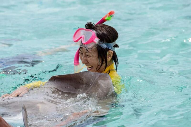 Bora Bora: Full-Day Lagoon Snorkelling Tour - An In-Depth Look at the Full-Day Lagoon Snorkelling Tour
