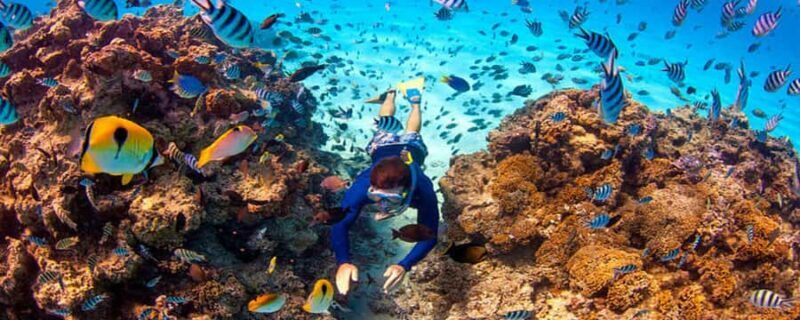 Bora Bora: Half Day Catamaran Sailing & Snorkelling - FAQ