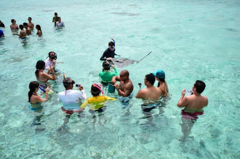 Bora Bora: Half-Day Lagoon Snorkelling Tour - Authenticity and Value