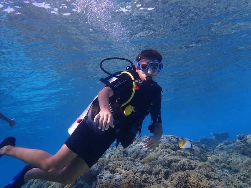 Bora Bora: Introductory Dive - Key Points