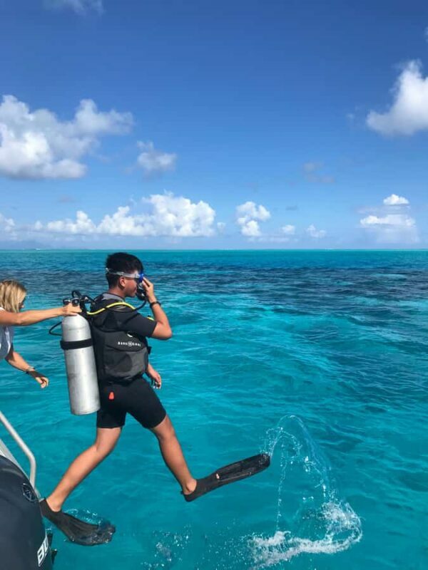 Bora Bora: Introductory Dive - Why This Tour Stands Out