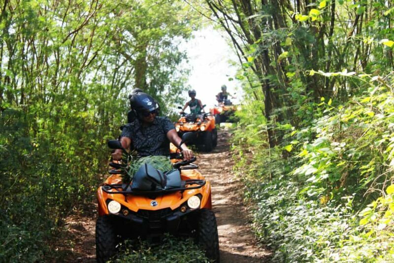 Bora Bora: Island Tour and Mountains Getaway by Quad Bike - FAQ
