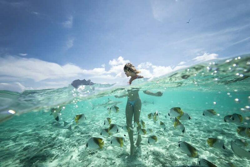 Bora Bora: Jet Ski, Lunch & Shark/ Ray Safari - Key Points