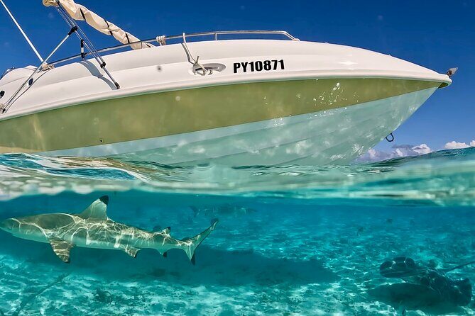 Bora Bora Jet Ski Tour - Final Thought