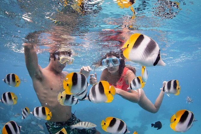 Bora Bora Jet Ski Tour, & Eco Shark / Ray Snorkel Cruise - Practical Details & What to Expect