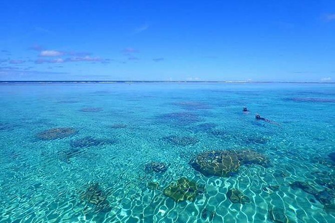Bora Bora: Luxury Private Half Day Snorkeling Tour - The Guides and Personal Touches