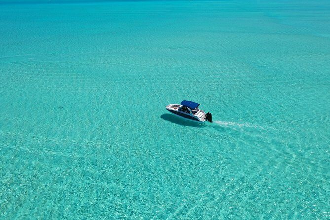 Bora Bora: Luxury Private Half Day Snorkeling Tour - Who Should Consider This Tour?
