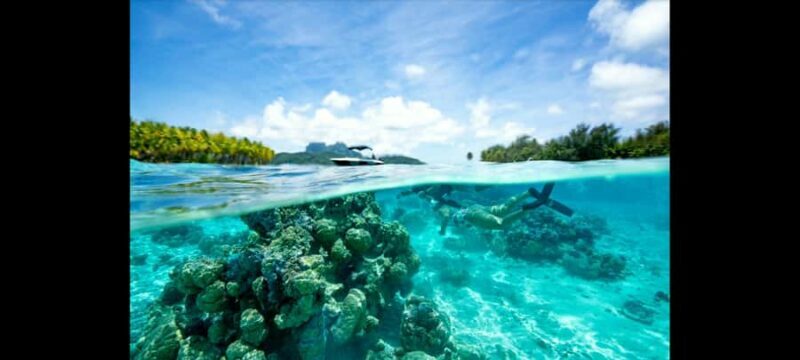 Bora Bora: Snorkeling and Fishing Tour with Lunch Option - An Overview of the Experience