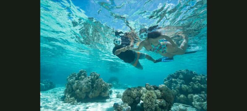 Bora Bora: Snorkeling and Fishing Tour with Lunch Option - Why This Tour Could Be a Great Choice