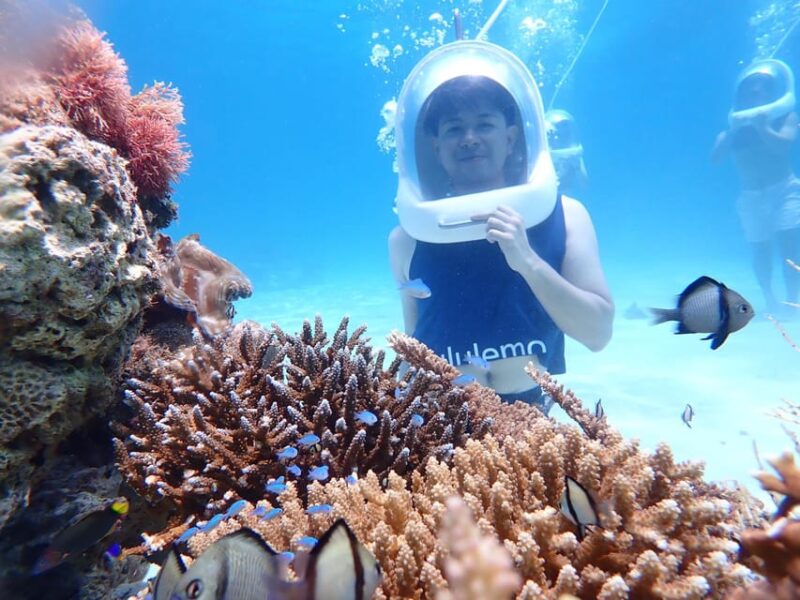 Boracay: Aquanaut Helmet Diving Experience - Interaction With Marine Life