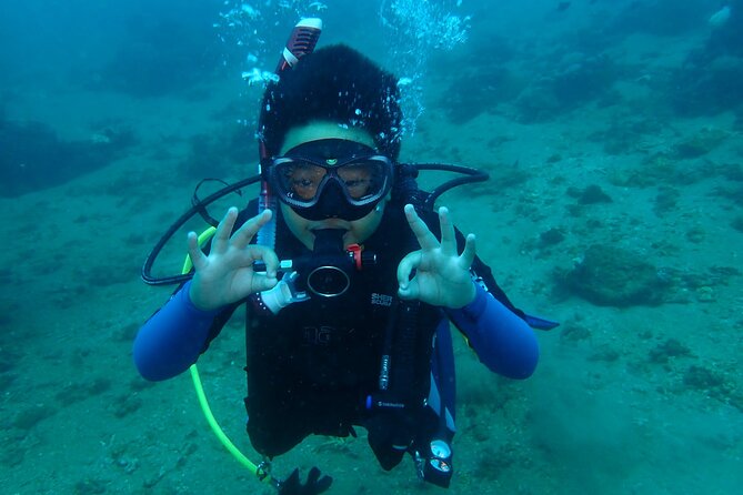 Boracay PADI Discover Scuba Diving - Discovering Coral Garden Biodiversity