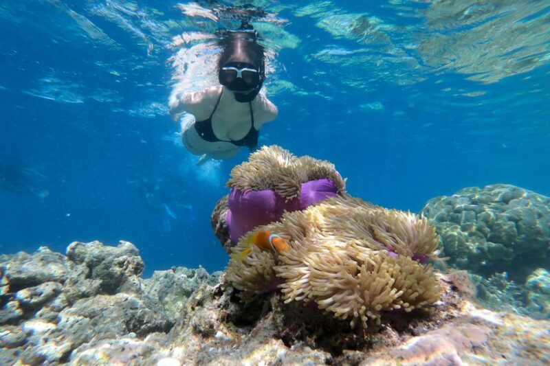 Boracay: Private Island Hopping & Snorkeling Tour - Highlights of the Tour