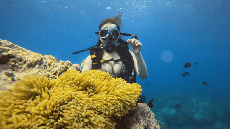 Boracay Scuba Diving With Parasailing and E-Scooter - Scuba Diving Experience