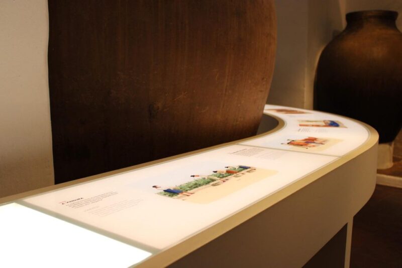 Borba: Tasting and Tour and Alentejo Traditional Choir - Winery and Historical Context