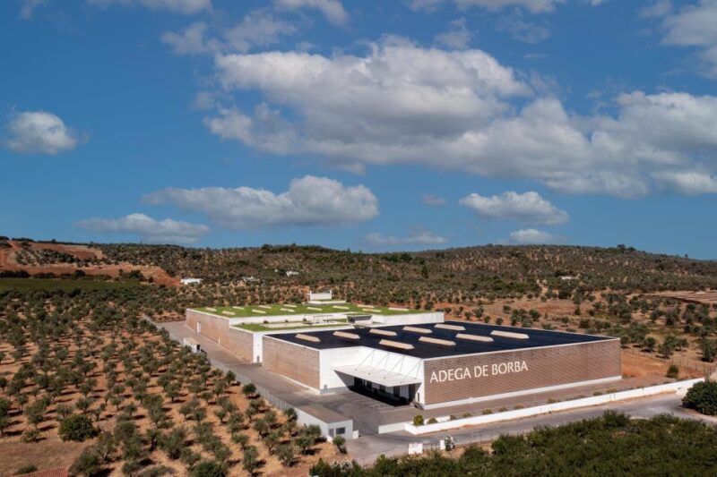 Borba: Winery Tours and Amphora Wine and Snacks Tasting - Wine Tasting Experience