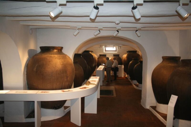 Borba: Winery Tours and Amphora Wine and Snacks Tasting - Duration and Pricing