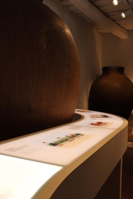 Borba: Winery Tours and Amphora Wine Tasting - Key Points