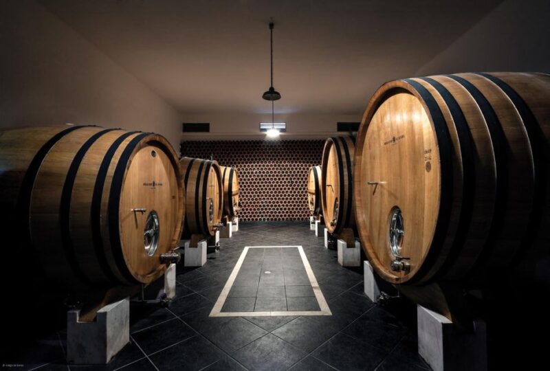 Borba: Winery Tours and Amphora Wine Tasting - Experience Highlights