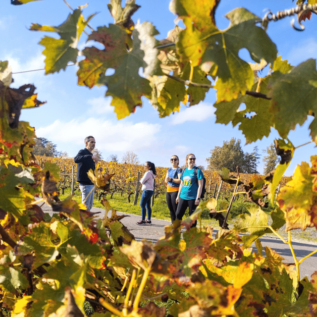 Bordeaux by Gravel Bike : Historic Center & Vineyards - Explore the Chartrons District