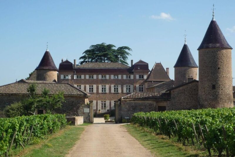 Bordeaux City - Wine Discovery - Exploring Wine Production