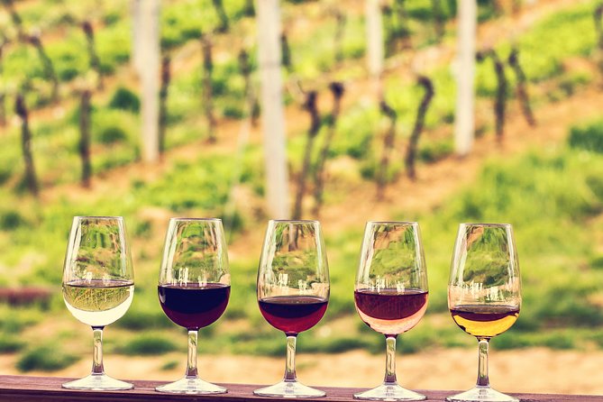 Bordeaux Cruise Port Shore Excursion: Full-Day Private Medoc Wine Tour - Tour Overview