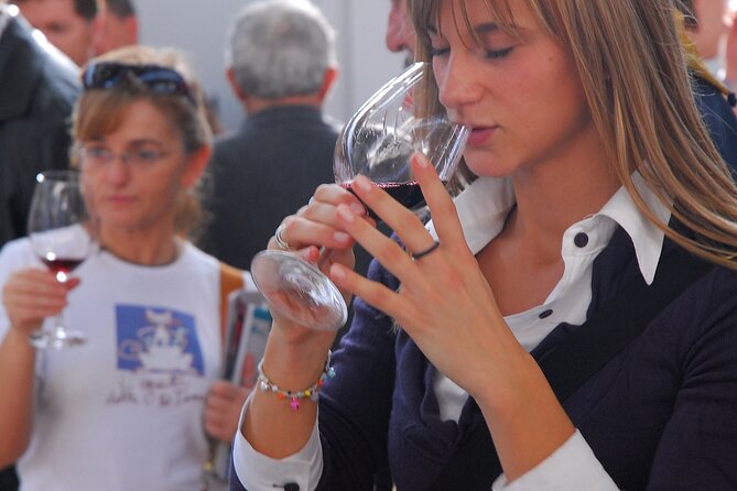 Bordeaux Culinary and Wine Tasting Tour - Bordeaux Wine Tastings