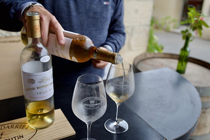 Bordeaux: Full Day Wine Tastings & Gourmet Lunch - Health and Accessibility