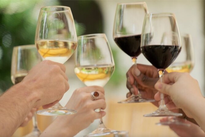 Bordeaux: Full Day Wine Tastings & Gourmet Lunch - Experience Highlights