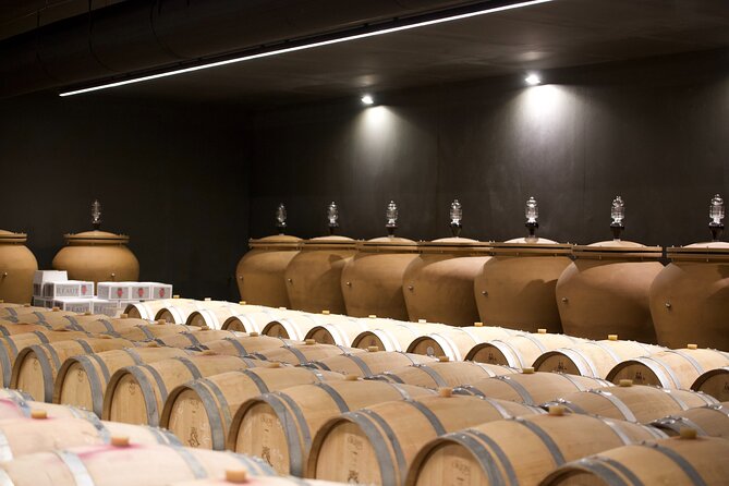 Bordeaux: Full Day Wine Tastings & Gourmet Lunch - Winery Visits and Interactions
