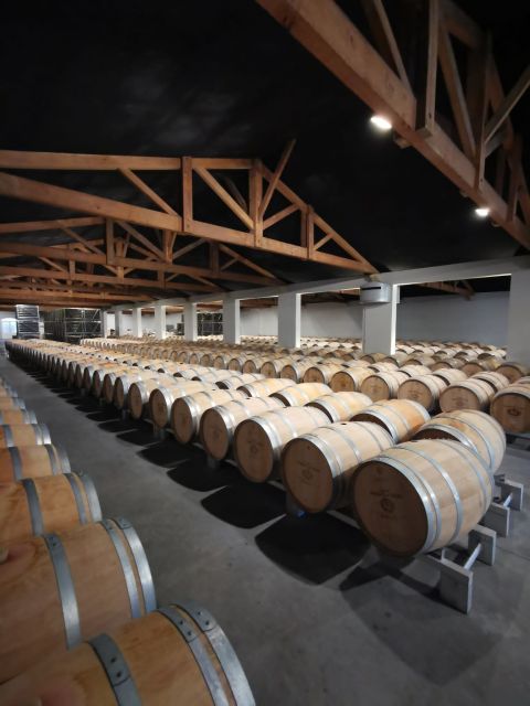 Bordeaux: Full Day Wine Tastings & Lunch - Itinerary Overview