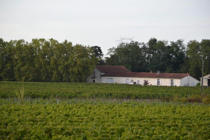 Bordeaux: in the Heart of an Organic Family Vineyard - Tasting of Bordeaux Wines
