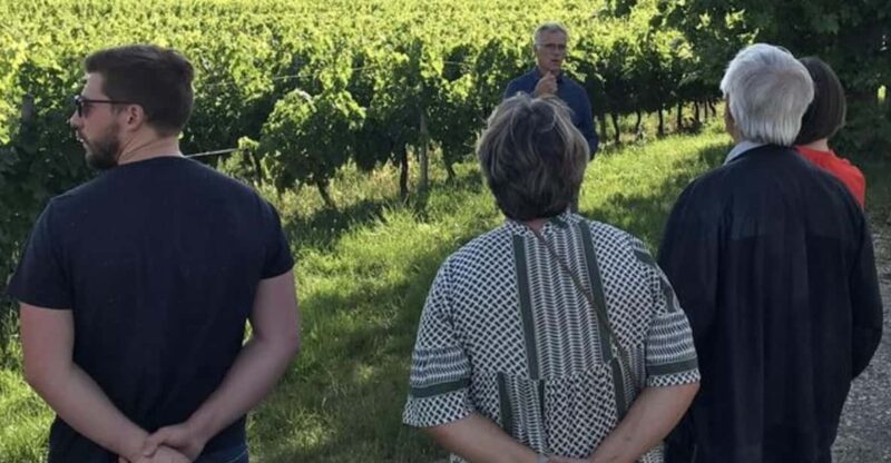 Bordeaux: in the Heart of an Organic Family Vineyard - Expertise of the Vineyard Guides