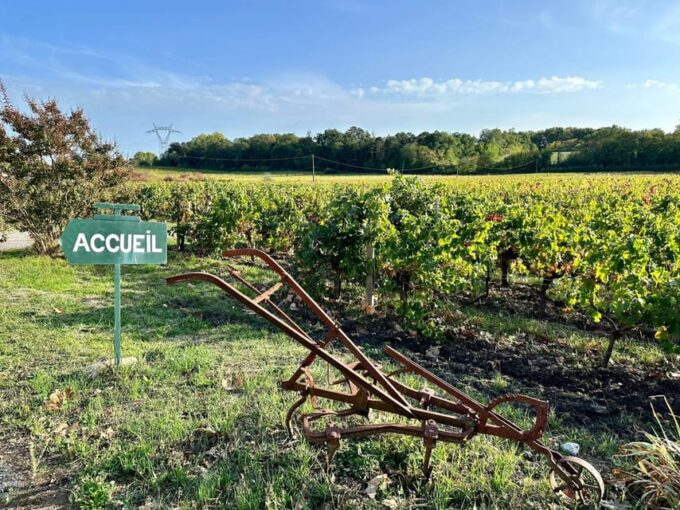 Bordeaux: in the Heart of an Organic Family Vineyard - Bordeaux Wine Region and Appellations