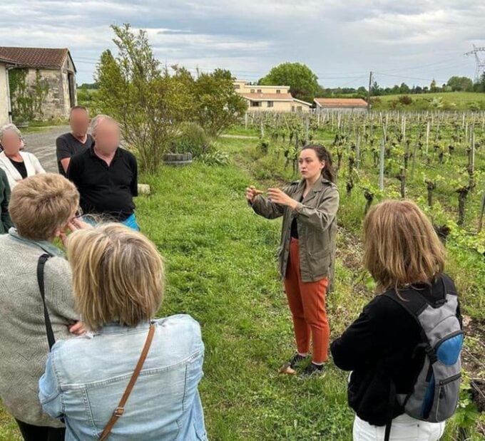 Bordeaux: in the Heart of an Organic Family Vineyard - Customer Feedback and Recommendations