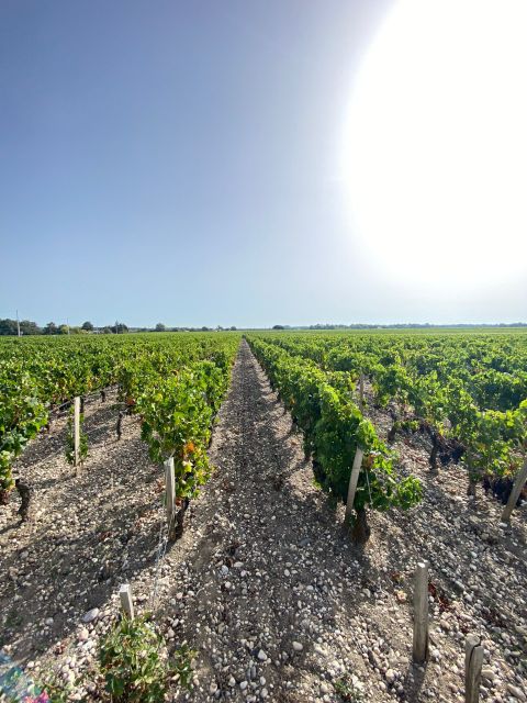 Bordeaux Margaux Wine Tour - History and Terroir