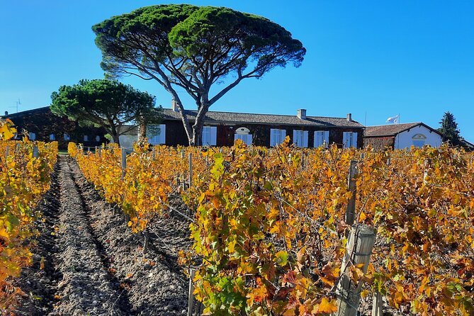 Bordeaux Médoc Region Private Wine Lovers Tour With Chateau Visits & Tastings - Tour Details